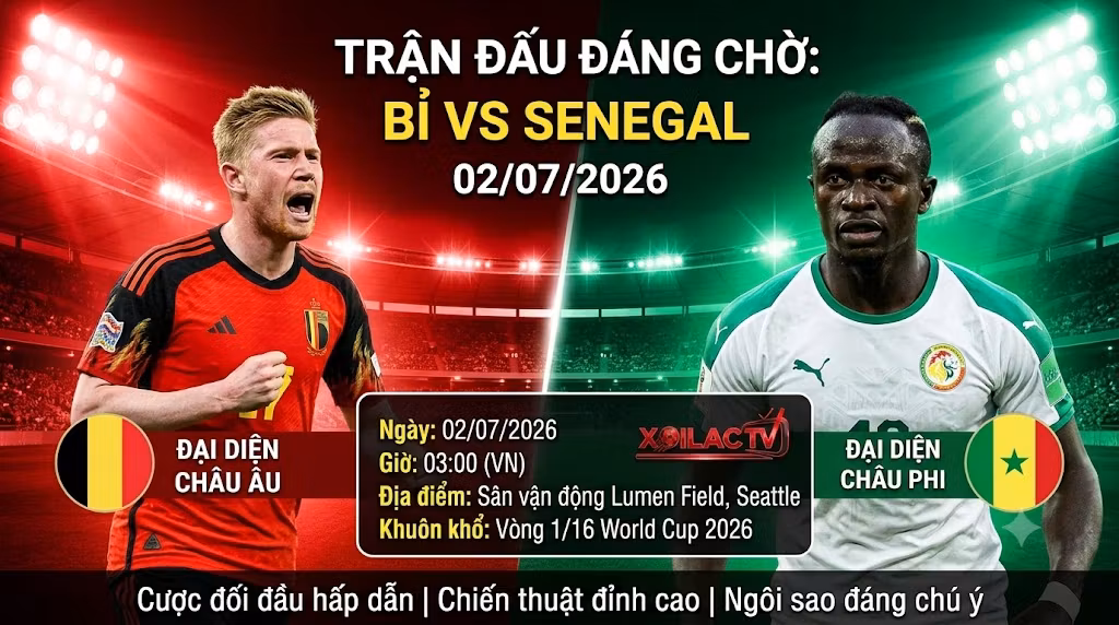 Nhận định trận đấu Bỉ vs Senegal vòng 1/16 World Cup 2026 trực tiếp trên Xoilac TV